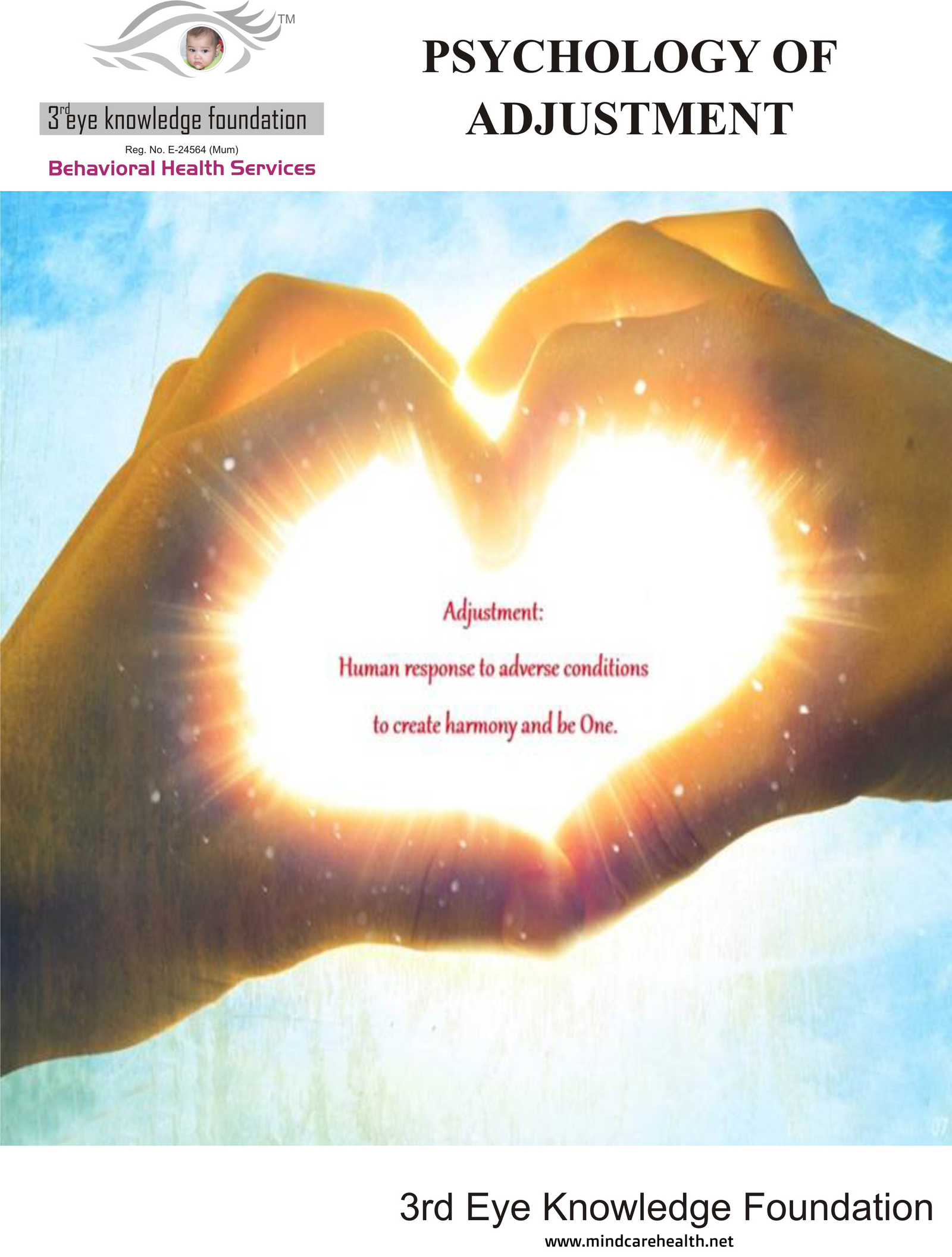 Psychology of Adjustment